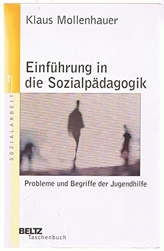 Stock image for Einfhrung in die Sozialpdagogik: Probleme und Begriffe der Jugendhilfe (Beltz Taschenbuch / Soziale Arbeit) for sale by medimops