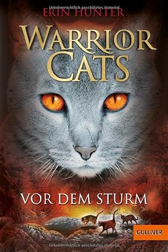 9783407743213: Warrior Cats Staffel 1/04. Vor dem Sturm