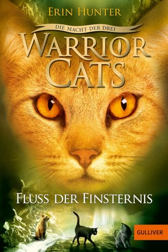 9783407746672: Warrior Cats Staffel 3/02. Die Macht der Drei. Fluss der Finsternis