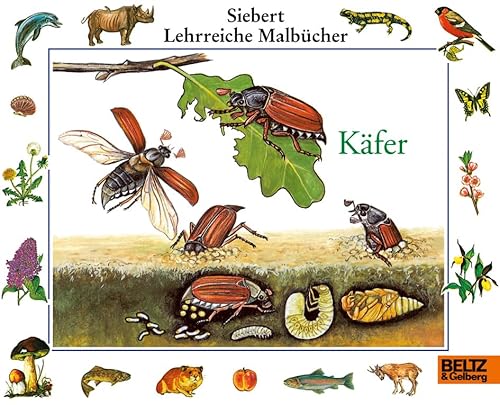 9783407773128: Kfer: Malbuch (Siebert Lehrreiche Malbcher) by Eigner, Erwin; Etschmann, In...