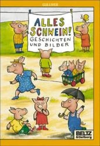 Stock image for Alles Schwein. Ab 9 J. . Geschichten und Bilder. for sale by medimops