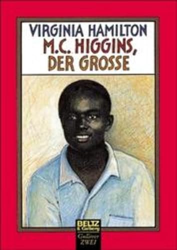 9783407787293: M.C. Higgins, der Groe