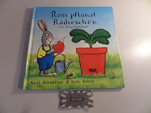 9783407793218: Rosi pflanzt Radieschen: Ein Klapp-Bilderbuch