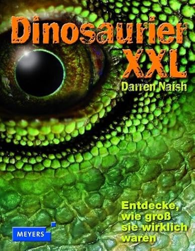 Beispielbild fr Dinosaurier XXL: Entdecke, wie gro sie wirklich waren! zum Verkauf von medimops