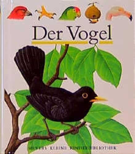 Der Vogel - Mettler, Rene, Delafosse, Claude