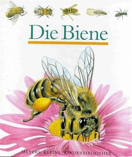 Die Biene. (9783411086214) by SchÃ¶nfeldt, Sybil GrÃ¤fin; Fuhr, Ute; Sautai, Raoul