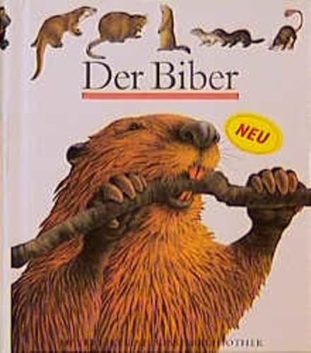 Beispielbild fr Der Biber zum Verkauf von Buchstube Tiffany