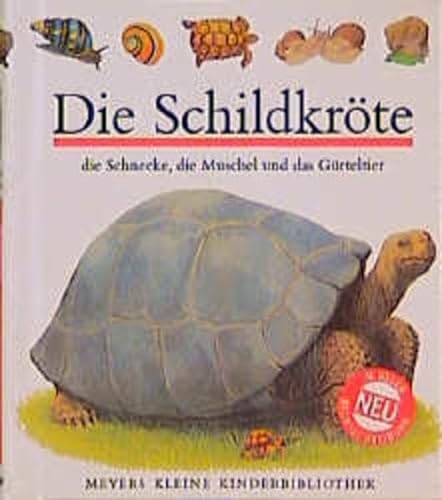 Stock image for Die Schildkrte. Die Schnecke, die Muschel und das Grteltier for sale by medimops