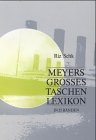 Beispielbild fr Meyers groes Taschenlexikon, 25 Bde., Bd.19, Riz-Schk zum Verkauf von DER COMICWURM - Ralf Heinig