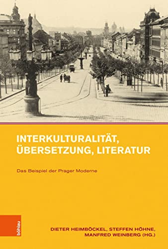 Imagen de archivo de Interkulturalitt, bersetzung, Literatur a la venta por Blackwell's