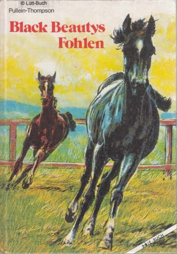 Black Beautys Fohlen