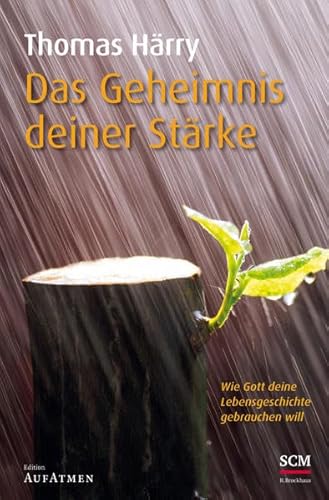 9783417262865: Das Geheimnis deiner Strke: Wie Gott deine Lebensgeschichte gebrauchen will