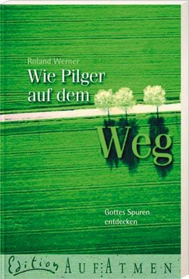 Beispielbild fr Wie Pilger auf dem Weg. Gottes Spuren entdecken zum Verkauf von Hylaila - Online-Antiquariat