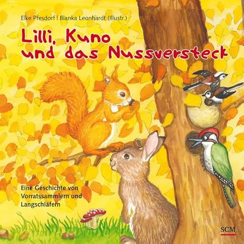 9783417286564: Lilli, Kuno und das Nussversteck