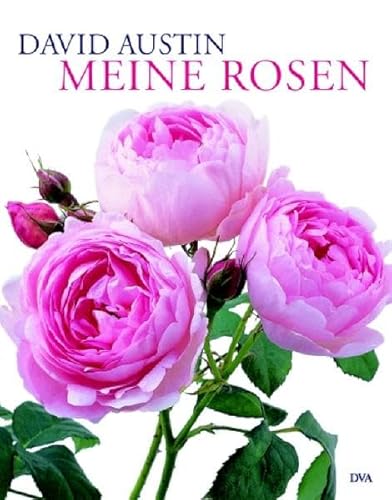 9783421036179: Meine Rosen