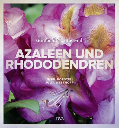 Stock image for Azaleen und Rhododendren: Einfach faszinierend for sale by medimops