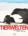 Stock image for Tierwelten for sale by medimops