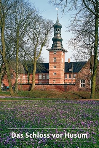 Beispielbild fr Das Schloss Vor Husum zum Verkauf von Revaluation Books