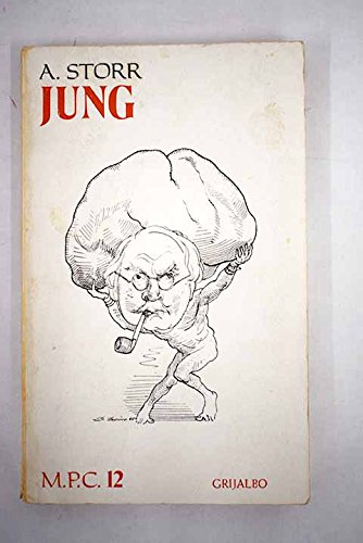Stock image for C. G. Jung. for sale by medimops