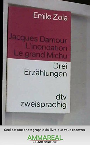 9783423092654: Jacques d'Amour l'Inondation