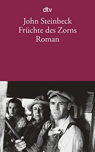 Früchte des Zorns: Roman