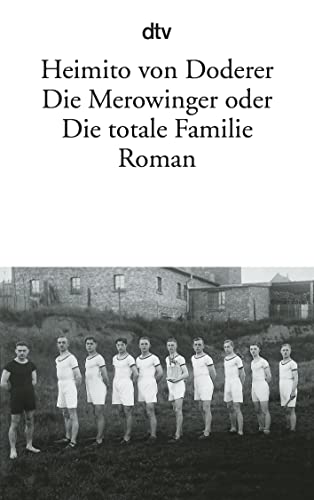 Beispielbild fr Die Merowinger oder Die totale Familie: Roman zum Verkauf von medimops