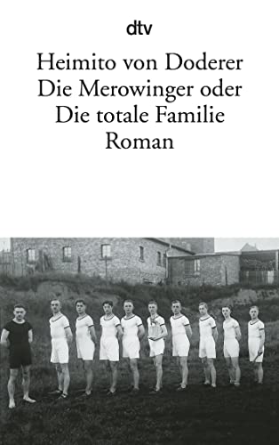 Imagen de archivo de Die Merowinger oder Die totale Familie: Roman a la venta por medimops