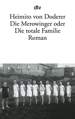 Stock image for Die Merowinger oder Die totale Familie: Roman for sale by medimops