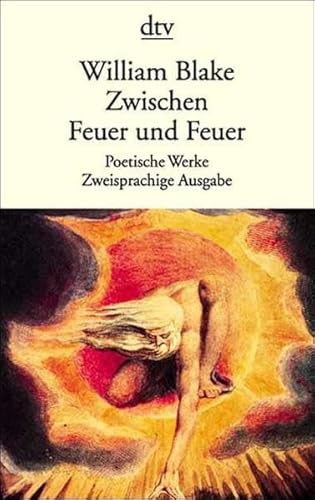 Stock image for Zwischen Feuer und Feuer. for sale by Kennys Bookstore