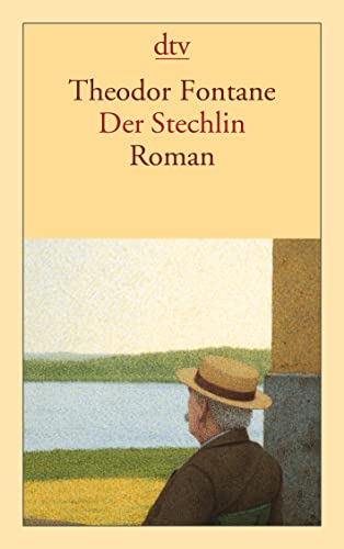 9783423125529: Der Stechlin: Roman