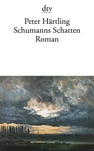 9783423125819: Schumanns Schatten: Variationen ber mehrere Personen – Roman