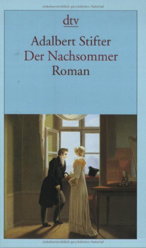 Stock image for Der Nachsommer: Roman for sale by medimops