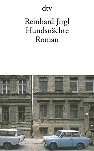 9783423129312: Hundsnchte: Roman