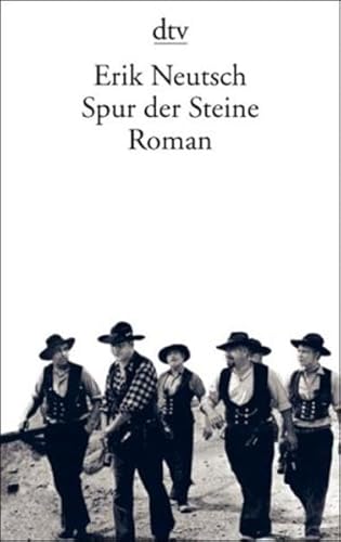 9783423132510: Spur der Steine