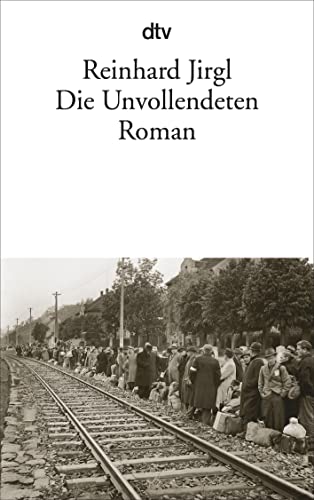 Die Unvollendeten : Roman - Reinhard Jirgl