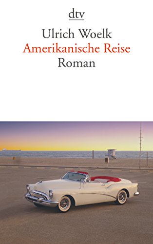 Beispielbild fr Amerikanische Reise: Roman zum Verkauf von medimops