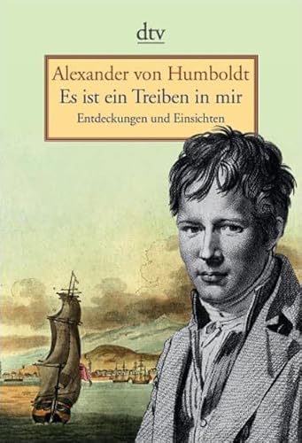 Beispielbild fr Es ist ein Treiben in mir. Entdeckungen und Einsichten. zum Verkauf von Klaus Kuhn Antiquariat Leseflgel