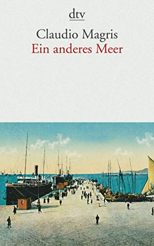 9783423138758: Ein anderes Meer: 13875