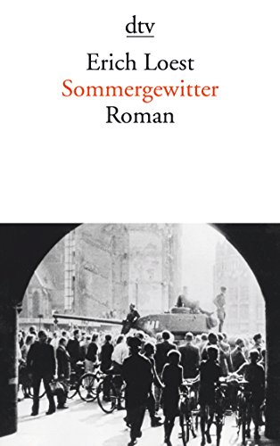 Beispielbild fr Sommergewitter : Roman. dtv ; 13879 zum Verkauf von Versandantiquariat Schfer