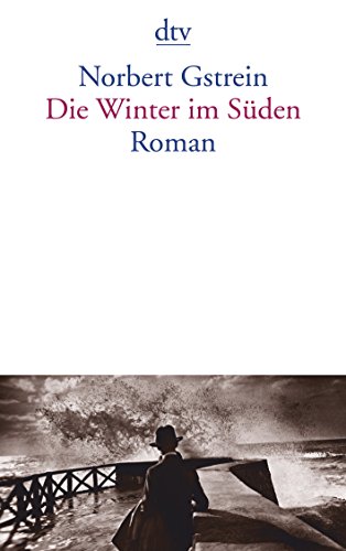Imagen de archivo de Die Winter im Sden: Roman a la venta por medimops