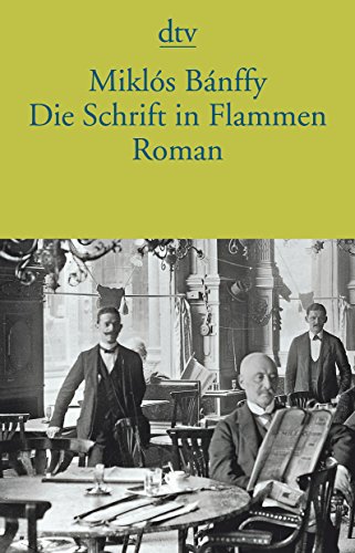 Beispielbild fr Die Schrift in Flammen: Roman zum Verkauf von medimops