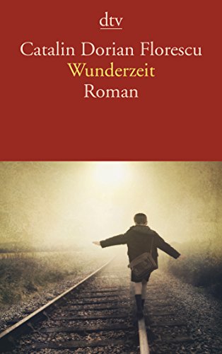 Beispielbild fr Wunderzeit: Roman zum Verkauf von Ammareal