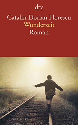 Stock image for Wunderzeit: Roman for sale by Ammareal
