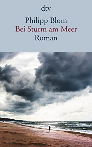 Imagen de archivo de Bei Sturm am Meer: Roman a la venta por medimops