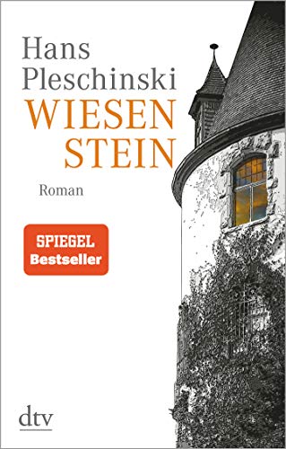 Stock image for Wiesenstein: Roman for sale by medimops