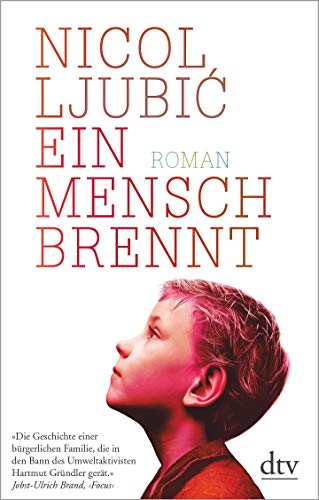 Stock image for Ein Mensch brennt: Roman for sale by medimops