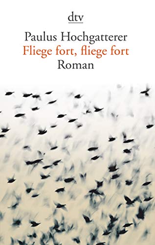 Imagen de archivo de Fliege fort, fliege fort: Roman a la venta por medimops