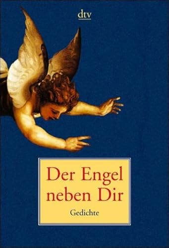 9783423205788: Der Engel neben Dir. Gedichte zwischen Himmel und Erde.