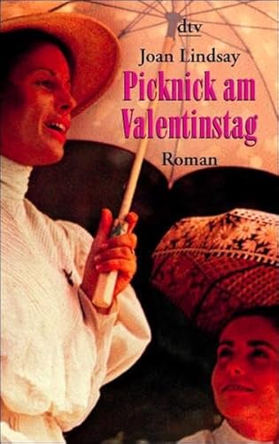 Stock image for Picknick am Valentinstag: Roman for sale by medimops