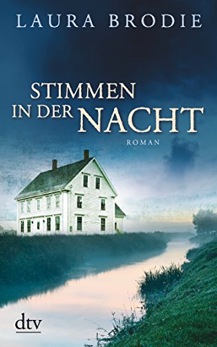 Stock image for Stimmen in der Nacht: Roman for sale by Leserstrahl  (Preise inkl. MwSt.)
